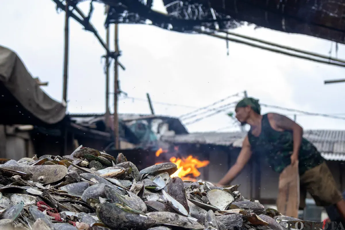Aktivitas pengupasan kerang hijau di Muara Angke, Penjaringan, Jakarta Utara, Rabu, 3 Desember 2025. (Sumber: POSKOTA | Foto: Dhiya Ahmad Fauzan/M2)