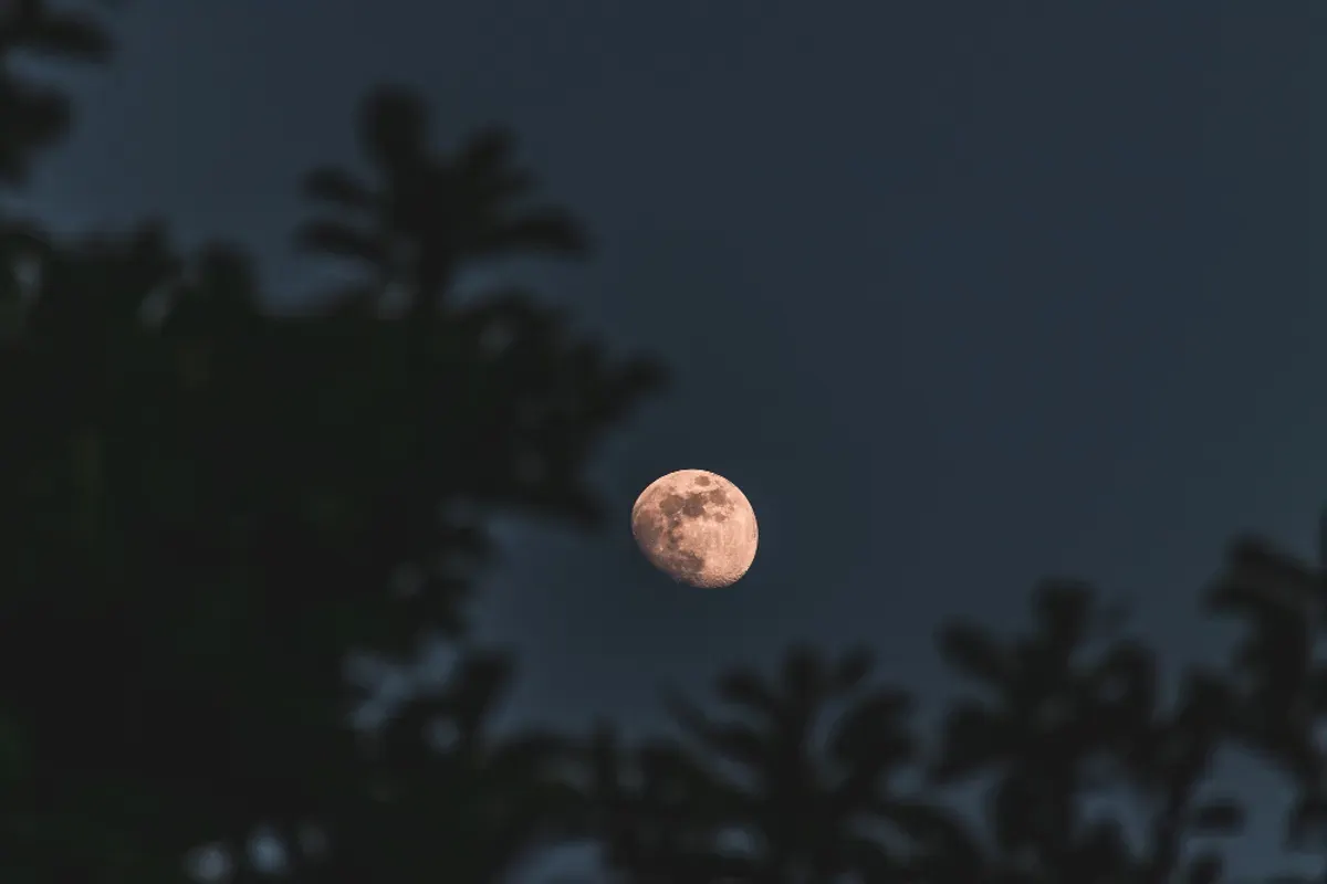 Ilustrasi - Fenomena langit Supermoon Cold Moon. (Sumber: Freepik/wirestock)