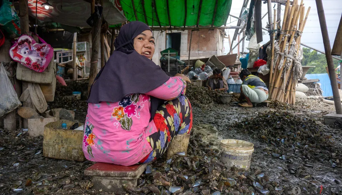 Aktivitas pengupasan kerang hijau di Muara Angke, Penjaringan, Jakarta Utara, Rabu, 3 Desember 2025. (Sumber: POSKOTA | Foto: Dhiya Ahmad Fauzan/M2)