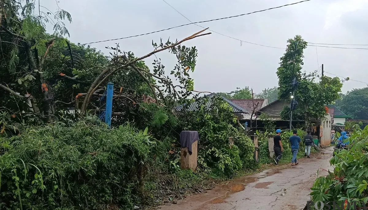 Kondisi permukiman warga di Desa Tamansari, Kecamatan Setu, Kabupaten Bekasi, setelah diterjang angin puting beliung. (Sumber: POSKOTA | Foto: Nurpini Aulia Rapika)