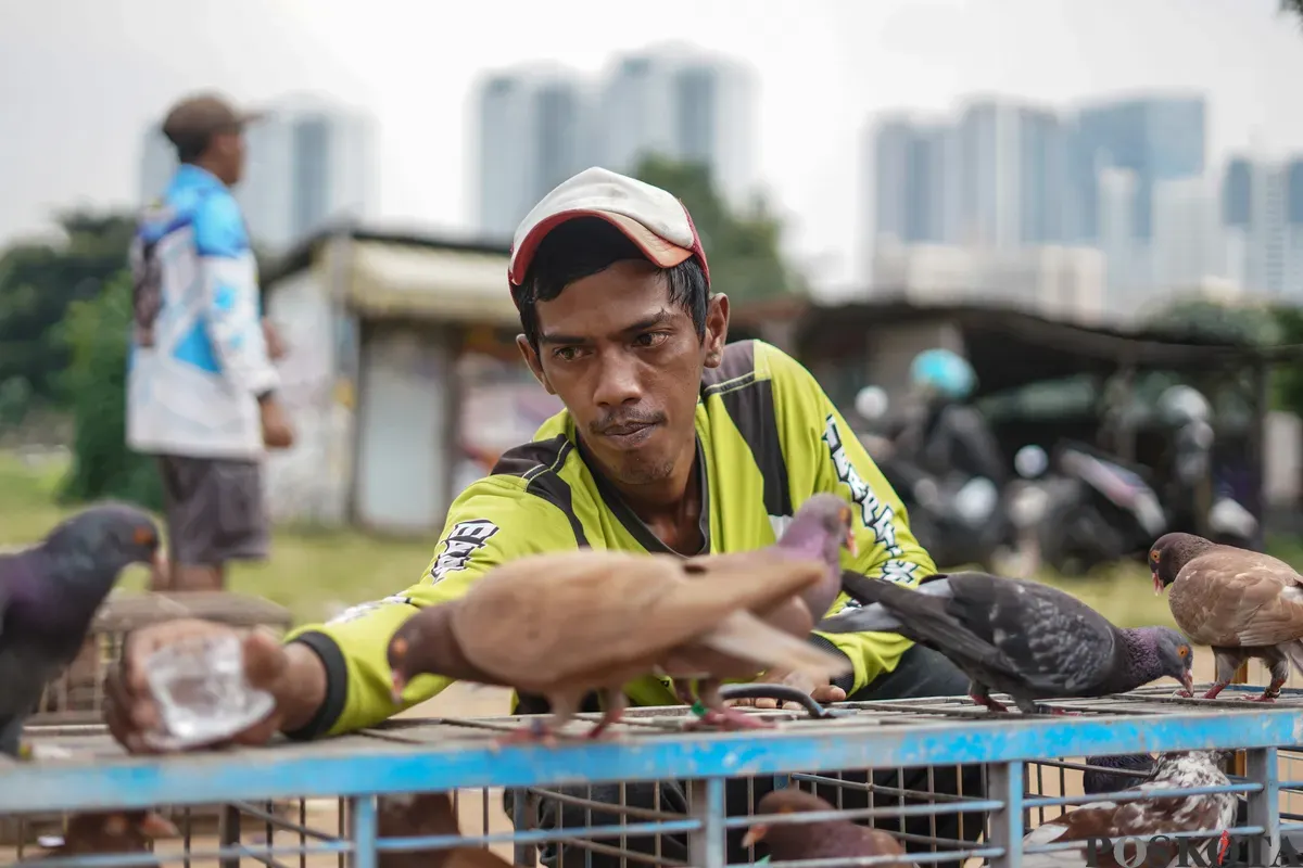 Sejumlah warga menerbangkan burung merpati di kawasan Menteng Pulo, Jakarta, Rabu, 3 Desember 2025. (Sumber: Poskota/Bilal Nugraha Ginanjar)