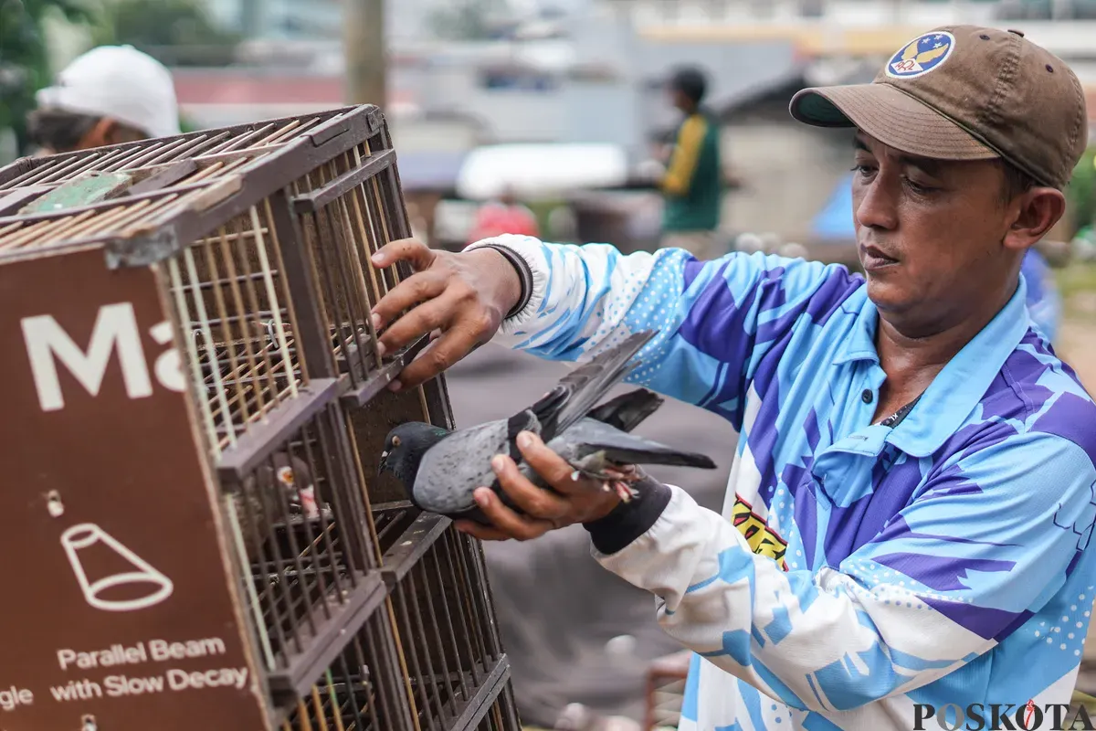 Sejumlah warga menerbangkan burung merpati di kawasan Menteng Pulo, Jakarta, Rabu, 3 Desember 2025. (Sumber: Poskota/Bilal Nugraha Ginanjar)