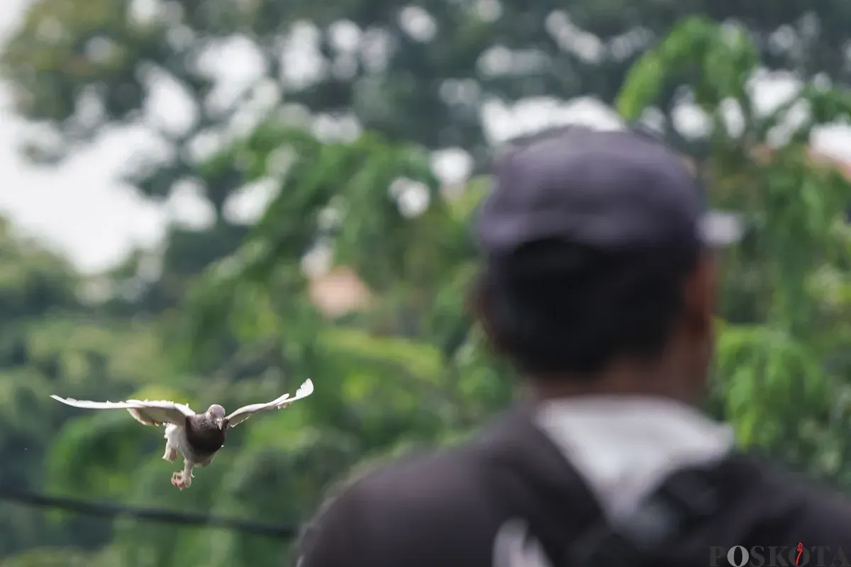 Sejumlah warga menerbangkan burung merpati di kawasan Menteng Pulo, Jakarta, Rabu, 3 Desember 2025. (Sumber: Poskota/Bilal Nugraha Ginanjar)