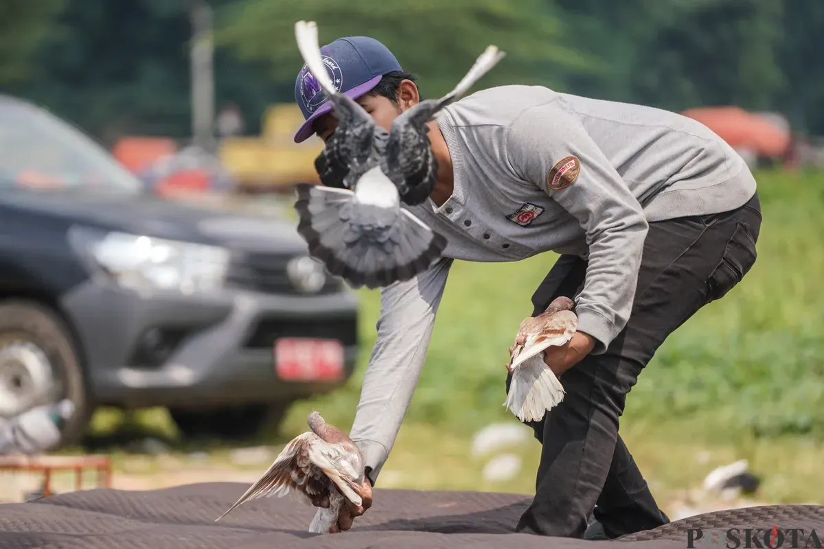 Sejumlah warga menerbangkan burung merpati di kawasan Menteng Pulo, Jakarta, Rabu, 3 Desember 2025. (Sumber: Poskota/Bilal Nugraha Ginanjar)