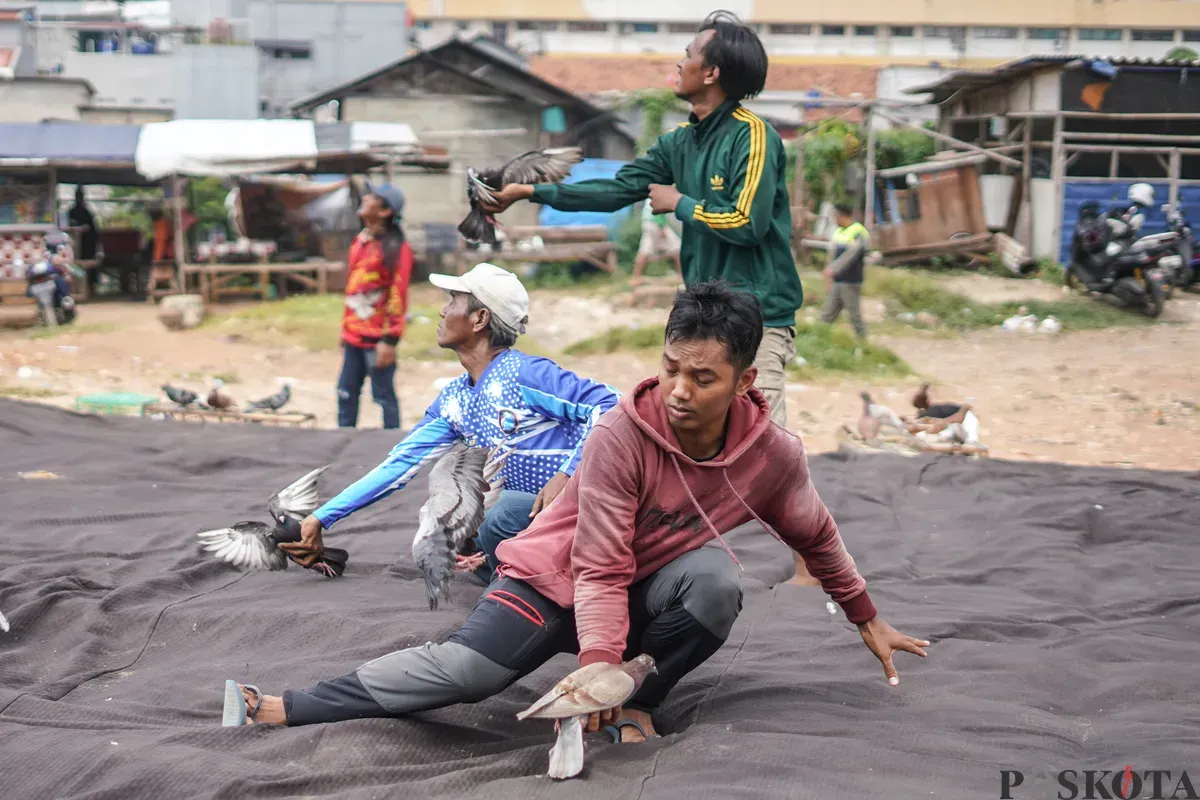 Sejumlah warga menerbangkan burung merpati di kawasan Menteng Pulo, Jakarta, Rabu, 3 Desember 2025. (Sumber: Poskota/Bilal Nugraha Ginanjar)