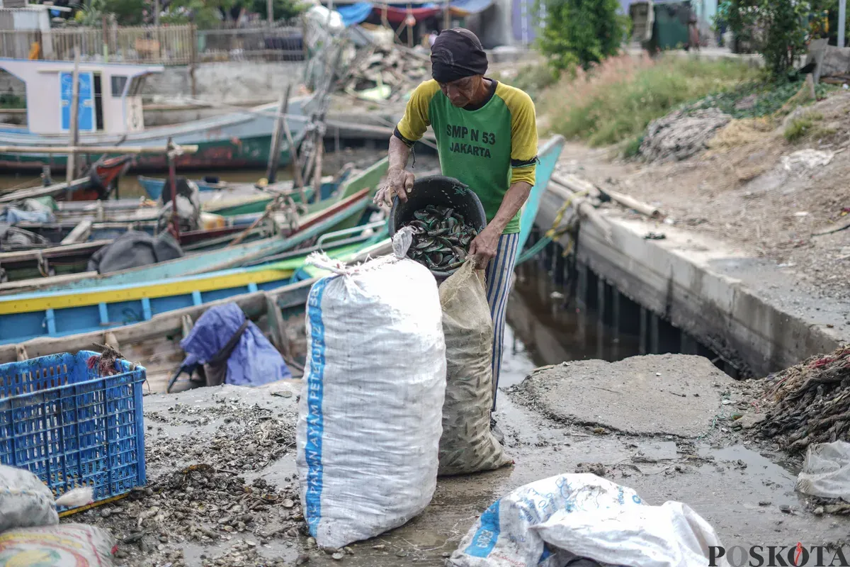 Sejumlah nelayan mengupas kerang hijau di pesisir laut Cilincing, Jakarta Utara, Rabu, 3 Desember 2025. (Sumber: Poskota/Bilal Nugraha Ginanjar)