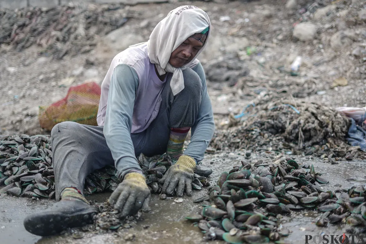Sejumlah nelayan mengupas kerang hijau di pesisir laut Cilincing, Jakarta Utara, Rabu, 3 Desember 2025. (Sumber: Poskota/Bilal Nugraha Ginanjar)