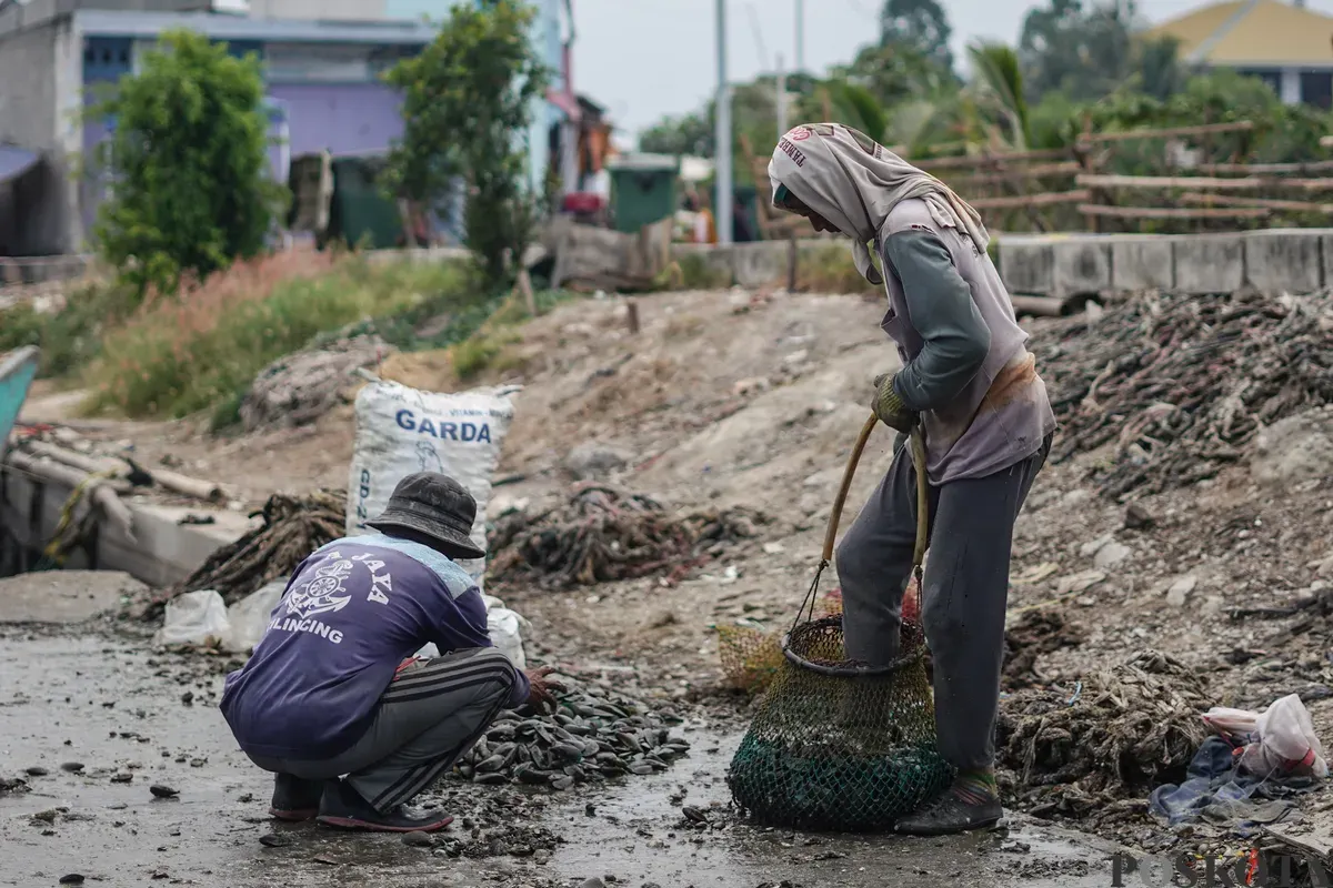 Sejumlah nelayan mengupas kerang hijau di pesisir laut Cilincing, Jakarta Utara, Rabu, 3 Desember 2025. (Sumber: Poskota/Bilal Nugraha Ginanjar)