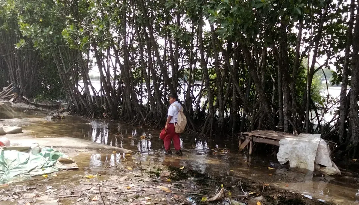Seorang siswa SD melintas di tengah genangan air akibat rob di Kampung Sembilangan, Desa Samudra Jaya, Kecamatan Tarumajaya, Kabupaten Bekasi. (Sumber: Istimewa)