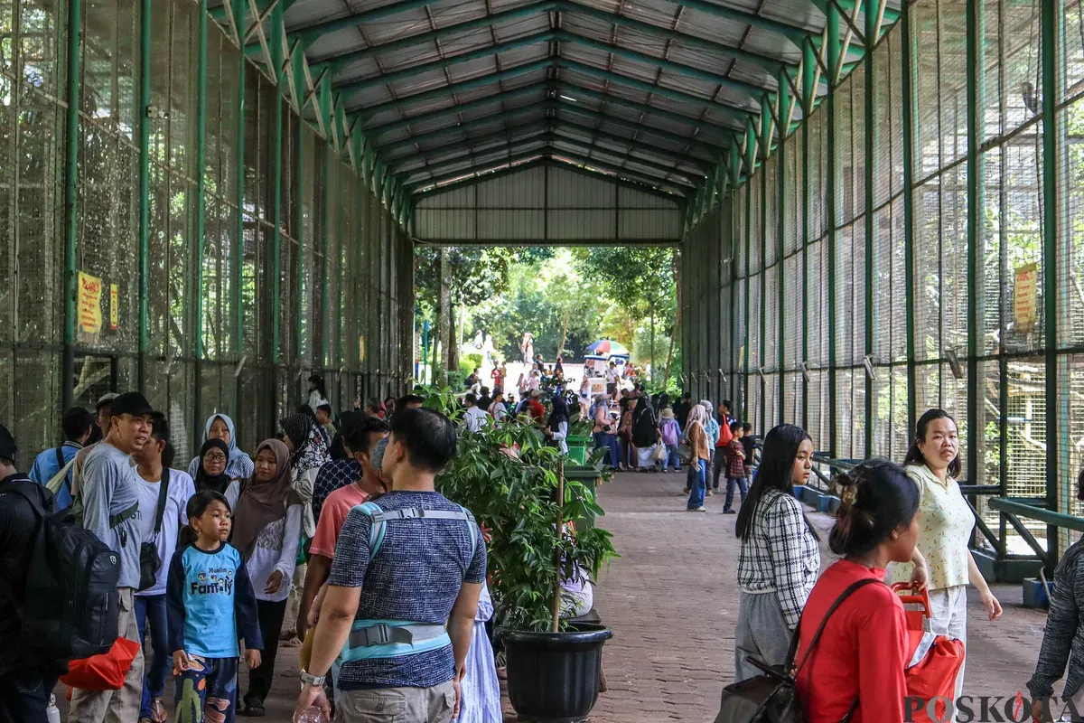Pengunjung melihat satwa ketika berwisata di Taman Margasatwa Ragunan, Jakarta, Kamis, 25 Desember 2025. (Sumber: Poskota/Dhiya Ahmad Fauzan)