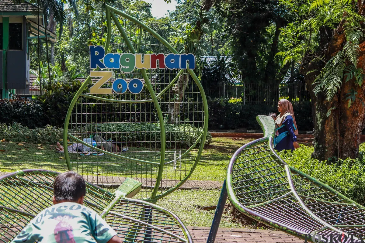 Pengunjung melihat satwa ketika berwisata di Taman Margasatwa Ragunan, Jakarta, Kamis, 25 Desember 2025. (Sumber: Poskota/Bilal Nugraha Ginanjar)