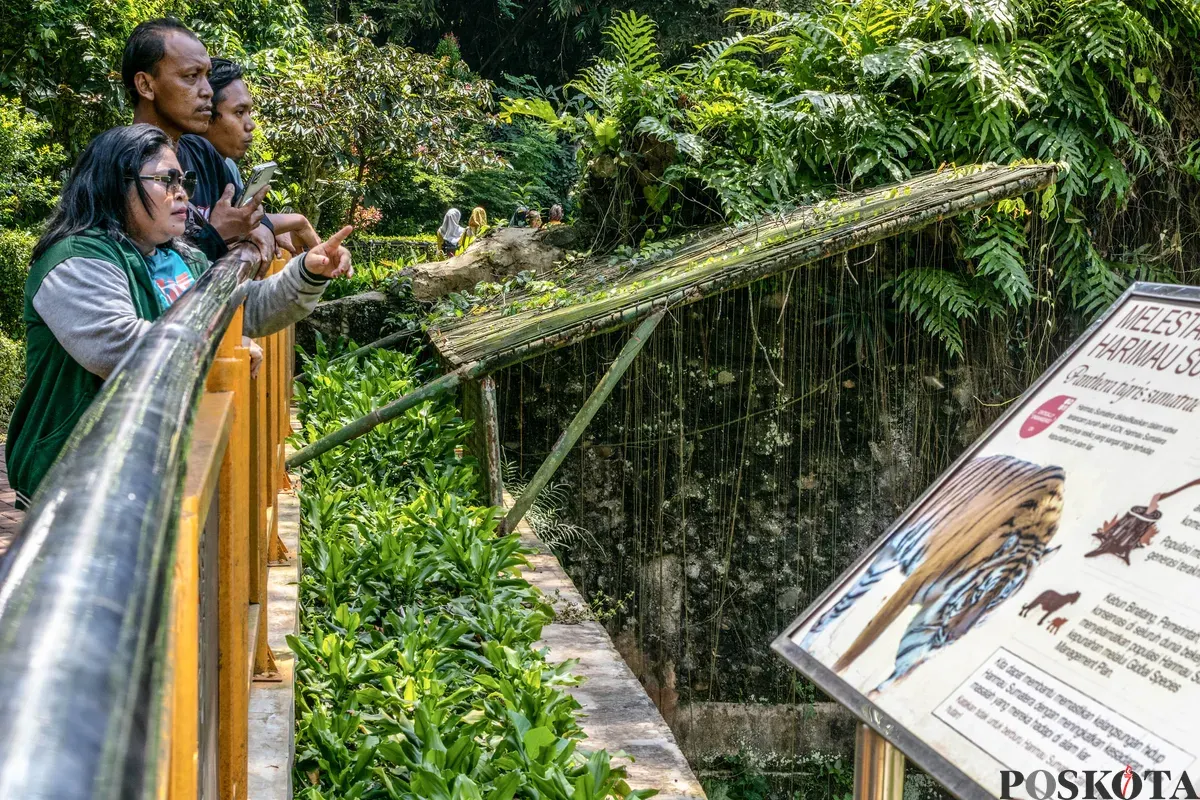 Pengunjung melihat satwa ketika berwisata di Taman Margasatwa Ragunan, Jakarta, Kamis, 25 Desember 2025. (Sumber: Poskota/Dhiya Ahmad Fauzan)