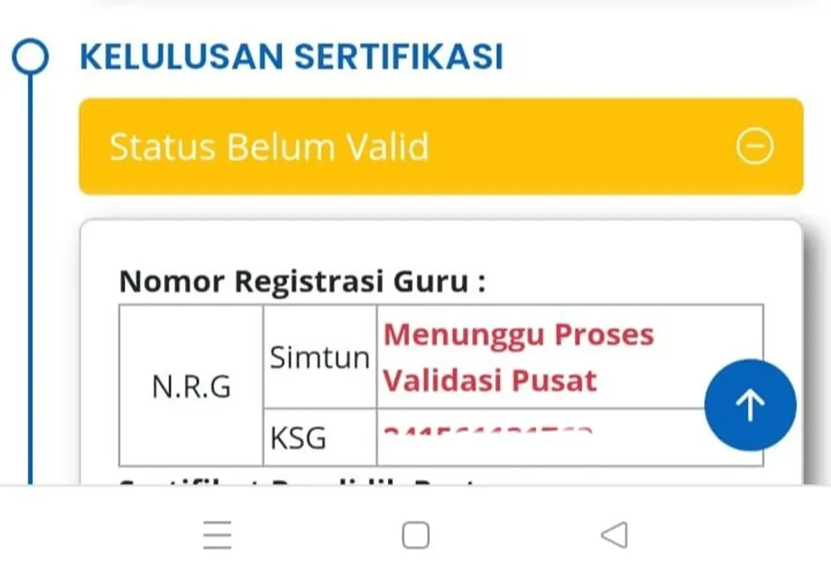 Guru mengecek Nomor Registrasi Guru (NRG) di Info GTK untuk memastikan kelengkapan administrasi dan pengajuan Tunjangan Profesi Guru (TPG). (Sumber: Facebook)