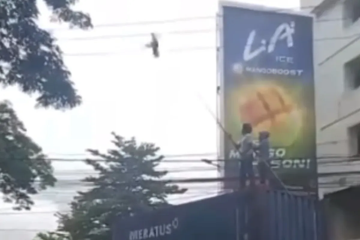 Seorang pria di Makassar kesetrum saat hendak menyelamatkan burung yang tersangkut di kabel listrik. (Sumber: Tangkap Layar Instagram/@funnelmedia)