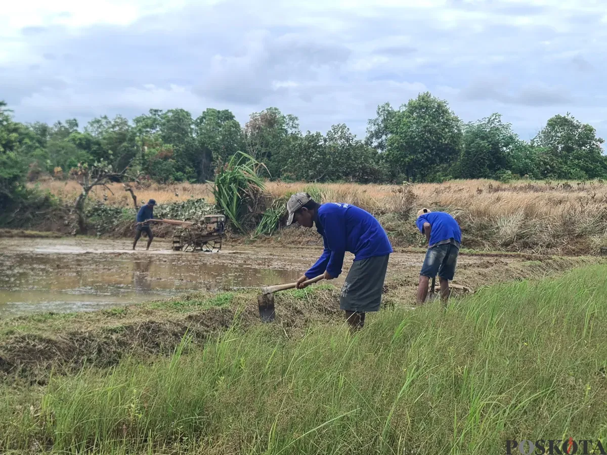 Warga binaan Rutan Kelas I Tangerang sedang mengikuti program bertani di area lahan tidur, Senin, 9 Desember 2024. (Sumber: Poskota/Veronica)