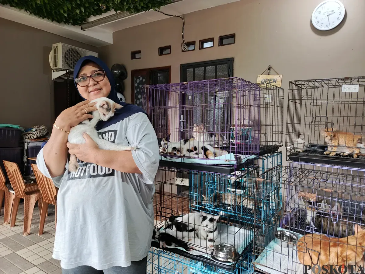 Dita Prisianti Agusta, menunjukkan kucing yang dipelihara di Kelurahan Pabuaran, Kecamatan Kemang, Kabupaten Bogor, Selasa, 4 Februari 2025. (Sumber: Poskota/Ali Mansur)