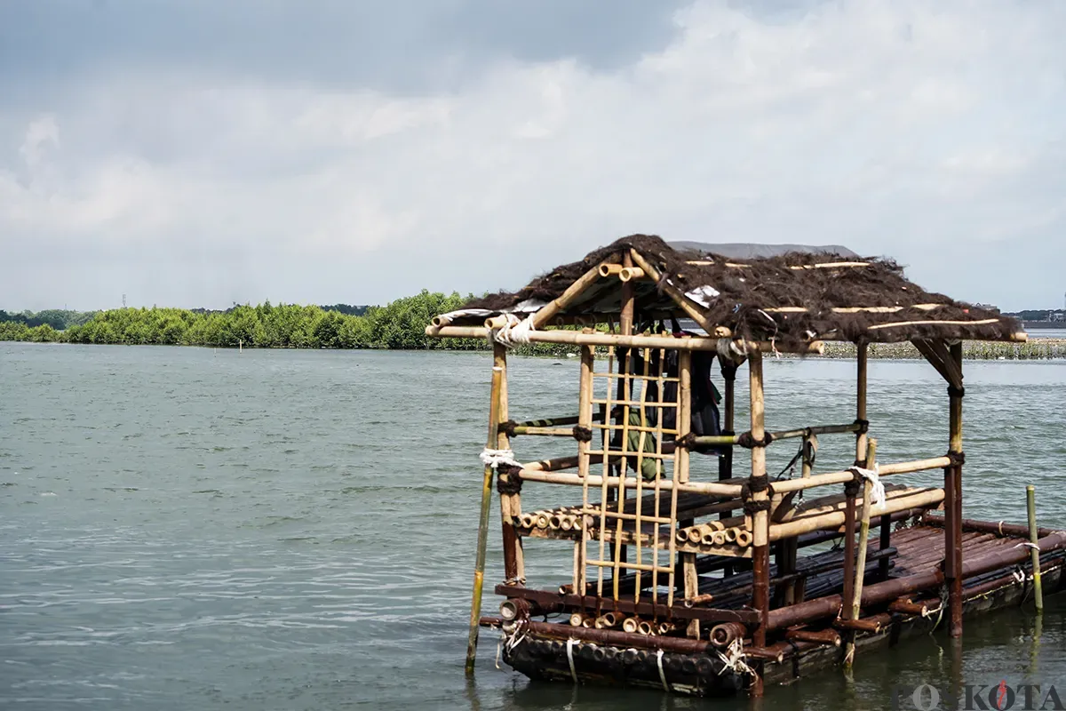 Suasana Hutan Lindung Angke Kapuk yang dipenuhi dengan pohon mangrove di Penjaringan, Jakarta Utara, Rabu, 5 Februari 2025. (Sumber: Poskota/Bilal Nugraha Ginanjar)