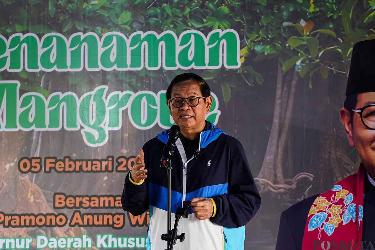 Gubernur Daerah Khusus Jakarta terpilih, Pramono Anung, menanam bibit pohon mangrove di pesisir Hutan Lindung Angke Kapuk, Penjaringan, Jakarta Utara. Rabu, 5 Februari, 2025. (Sumber: Poskota/Bilal Nugraha Ginanjar)