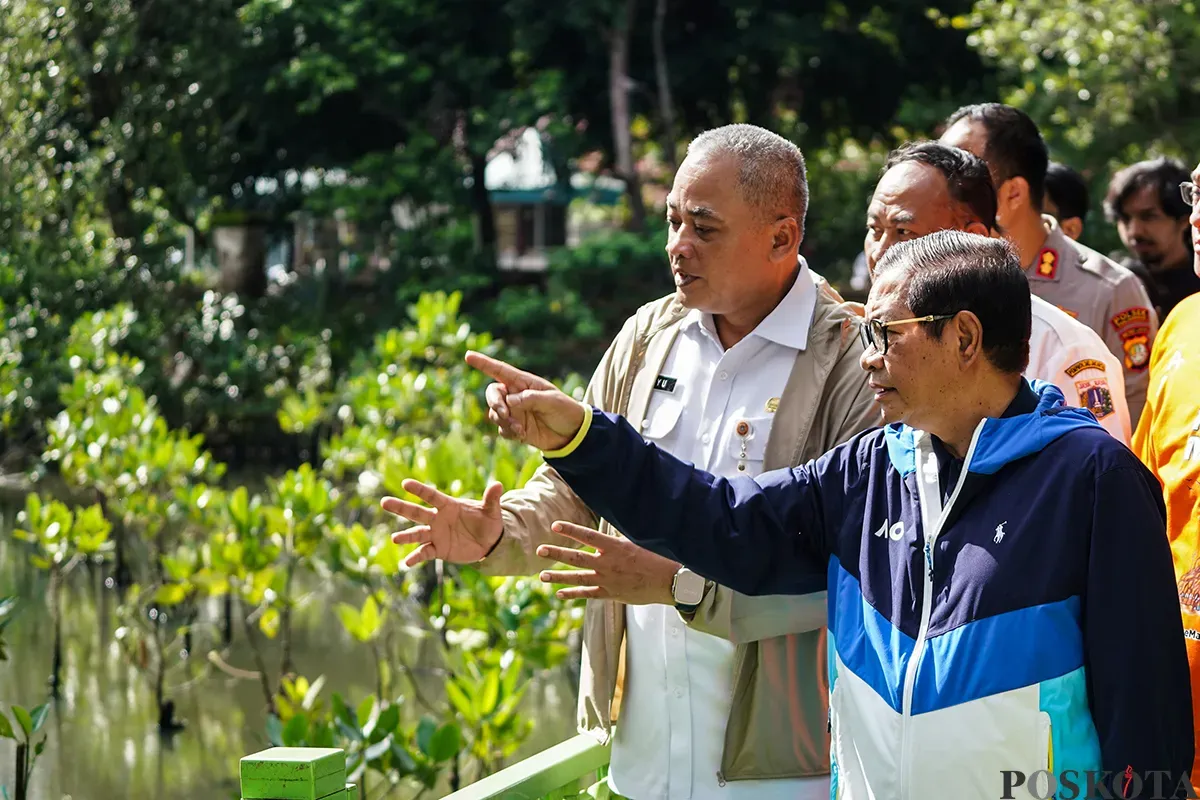 Gubernur Daerah Khusus Jakarta terpilih, Pramono Anung, menanam bibit pohon mangrove di pesisir Hutan Lindung Angke Kapuk, Penjaringan, Jakarta Utara. Rabu, 5 Februari, 2025. (Sumber: Poskota/Bilal Nugraha Ginanjar)