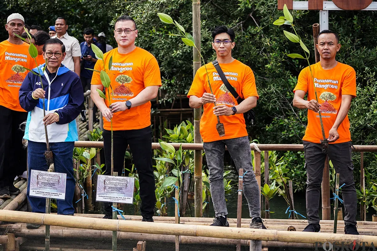 Gubernur Daerah Khusus Jakarta terpilih, Pramono Anung, menanam bibit pohon mangrove di pesisir Hutan Lindung Angke Kapuk, Penjaringan, Jakarta Utara. Rabu, 5 Februari, 2025. (Sumber: Poskota/Bilal Nugraha Ginanjar)