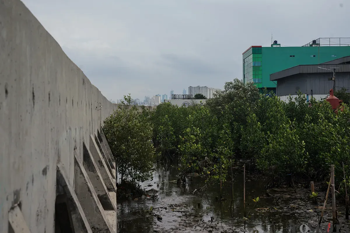 Warga beraktifitas di tanggul laut raksasa Dermaga Muara Baru, Penjaringan, Jakarta Utara, Rabu, 5 Februari 2025. (Sumber: Poskota/Bilal Nugraha Ginanjar)