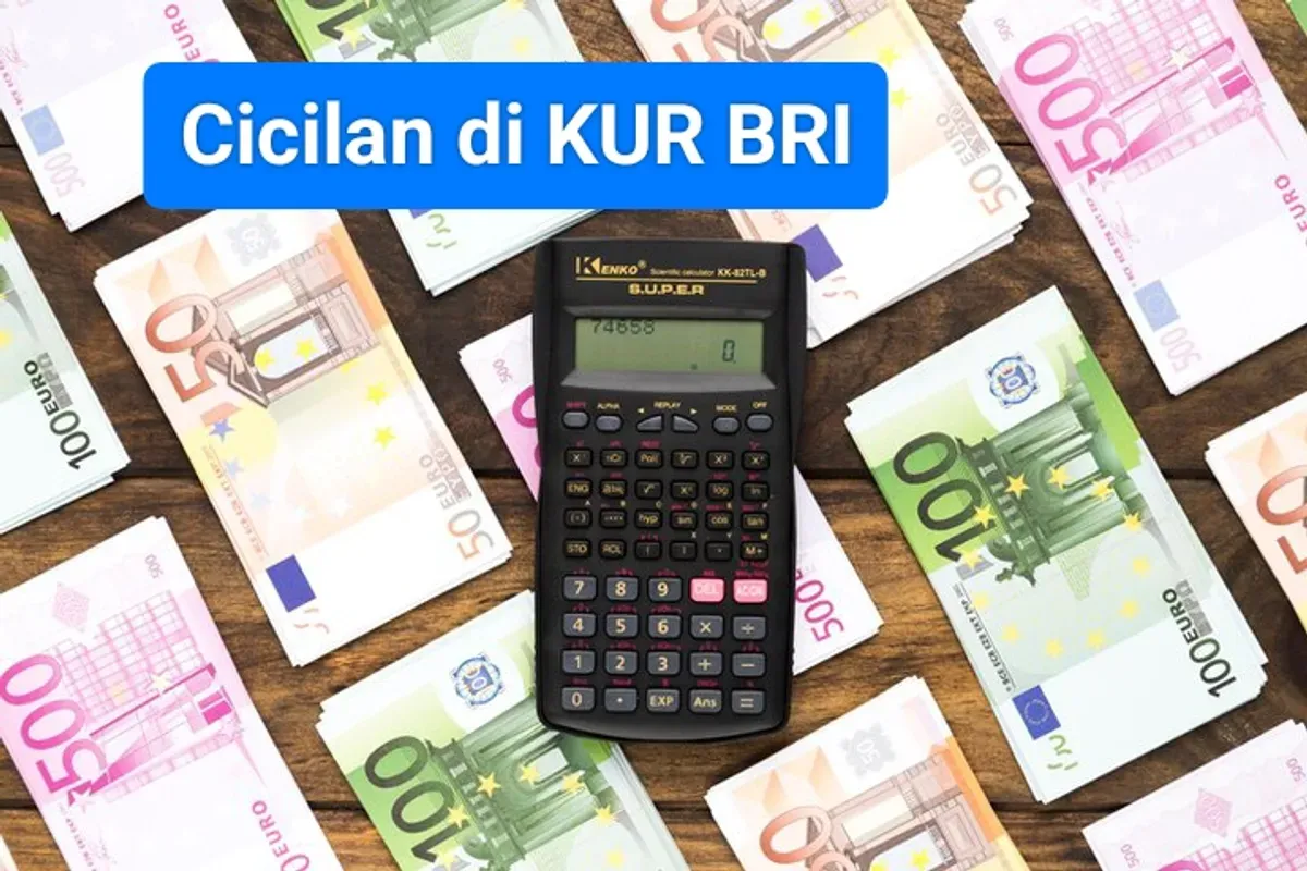 Cek cicilan pinjaman di KUR BRI. (Sumber: Freepik)