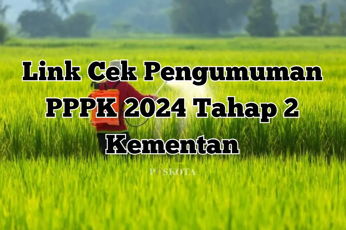 Cek hasil pengumuman PPPK 2024 Tahap 2, termasuk jadwal, cara cek pengumuman, dan tahapan lanjutan (Sumber: Poskota/Yusuf Sidiq)