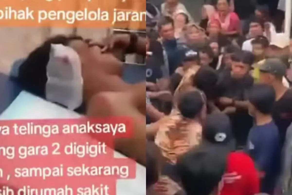 Pria di Banyuwangi digigit pemain jaranan yang kesurupan hingga telinganya putus. (Sumber: Tangkap Layar Instagram/@funnelmedia)