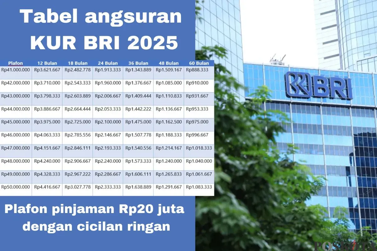 Angsuran KUR BRI 2025 dengan plafon pinjaman Rp20 juta. (Sumber: Arip Apandi)