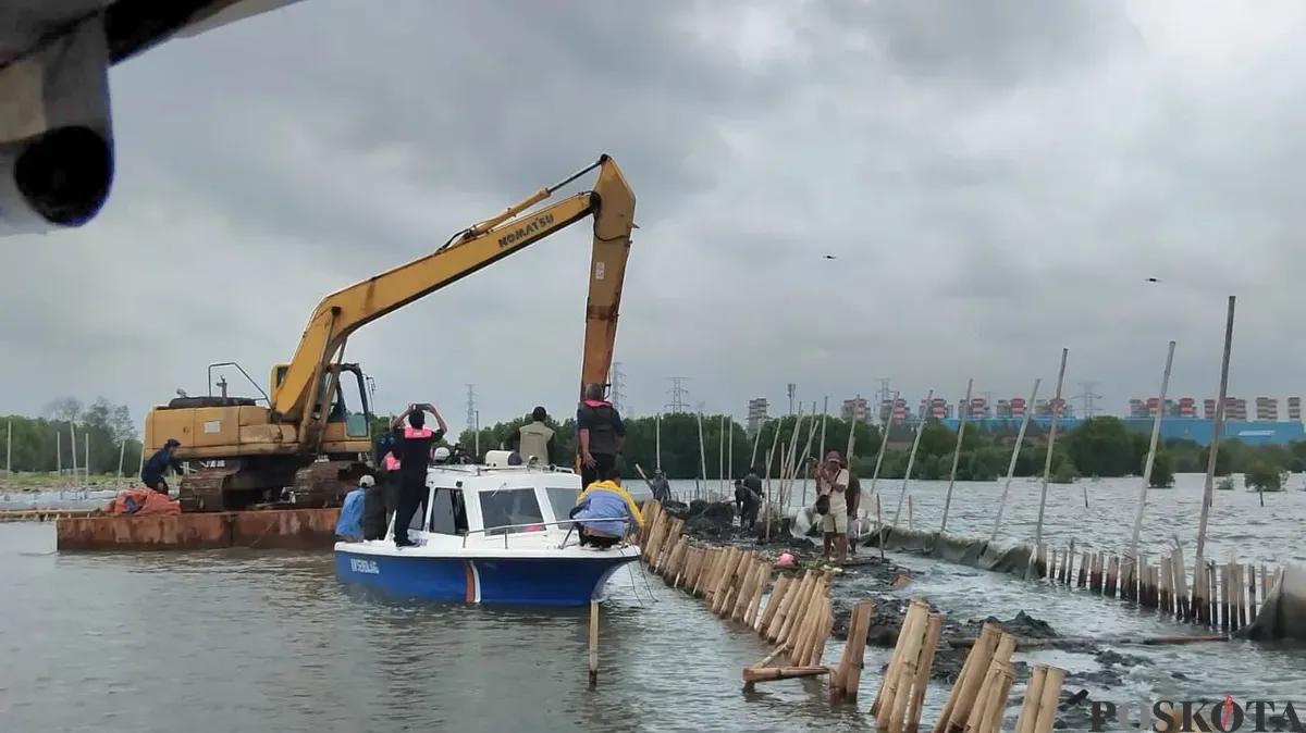 Proses pembongkaran pagar laut di perairan Tarumajaya, Kabupaten Bekasi, Selasa, 11 Februari 2025, melibatkan alat berat. (Sumber: Poskota/Ihsan Fahmi)