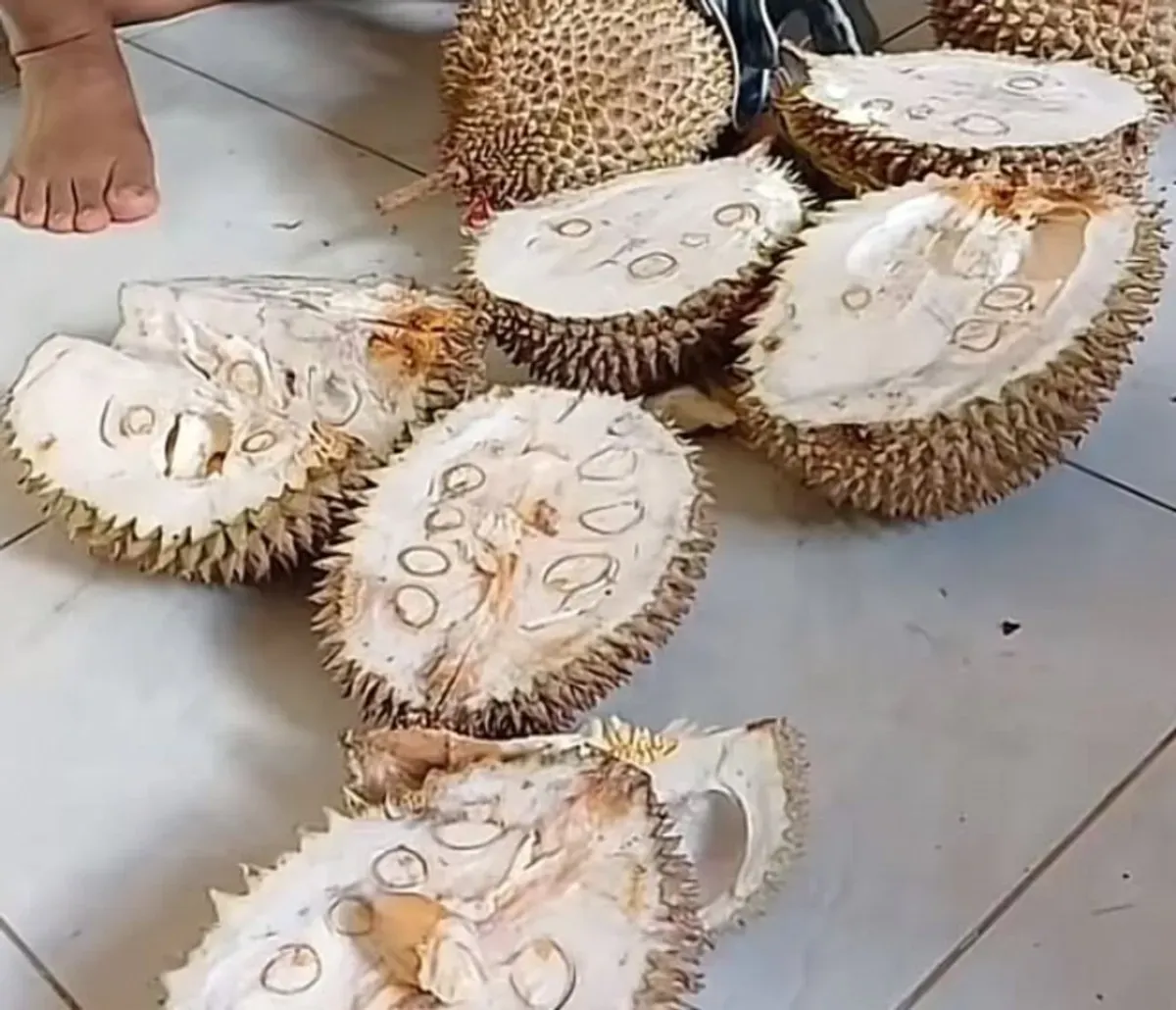 Kondisi durian mentah yang di beli di Pasar Masjid Cheng Ho. (Sumber: Instagram/@nyinyir_update_official)