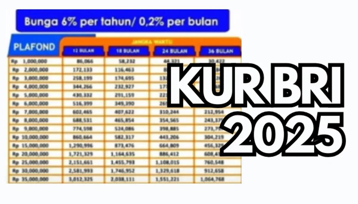 Pelaku UMKM diharapkan dapat memahami dengan baik persyaratan pengajuan KUR BRI 2025. (Sumber: Poskota/Dadan Triatna)