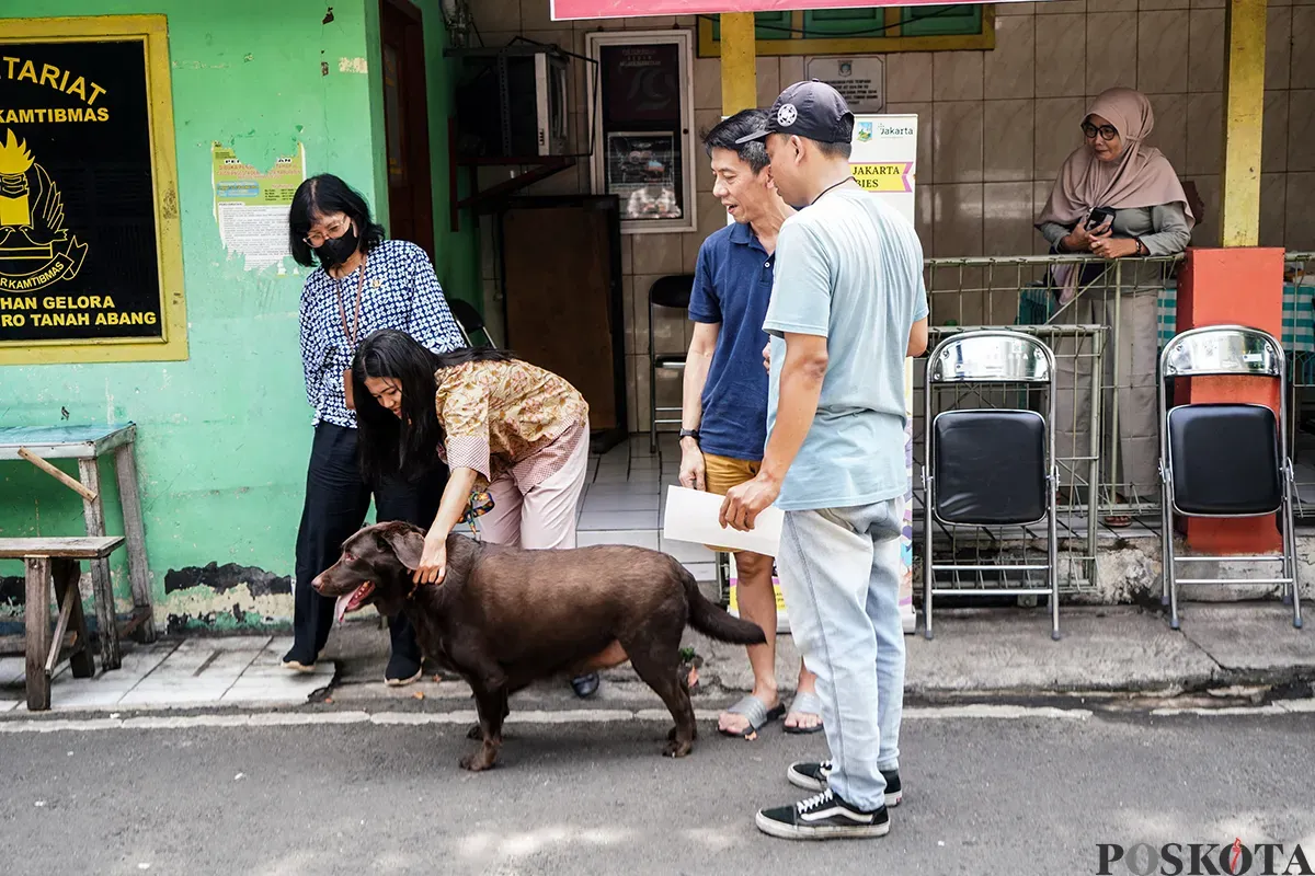 Petugas Suku Dinas Ketahanan Pangan, Kelautan dan Pertanian Jakarta Pusat menyuntik vaksin rabies kepada kucing milik warga di Jalan Gelora IX, Tanah Abang, Jakarta, Kamis, 13 Februari 2025. (Sumber: Poskoata/ Bilal Nugraha Ginanjar)