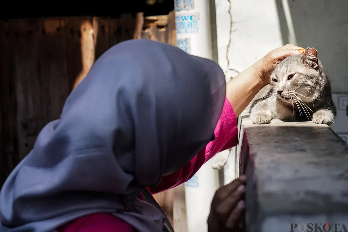 Petugas Suku Dinas Ketahanan Pangan, Kelautan dan Pertanian Jakarta Pusat menyuntik vaksin rabies kepada kucing milik warga di Jalan Gelora IX, Tanah Abang, Jakarta, Kamis, 13 Februari 2025. (Sumber: Poskoata/ Bilal Nugraha Ginanjar)