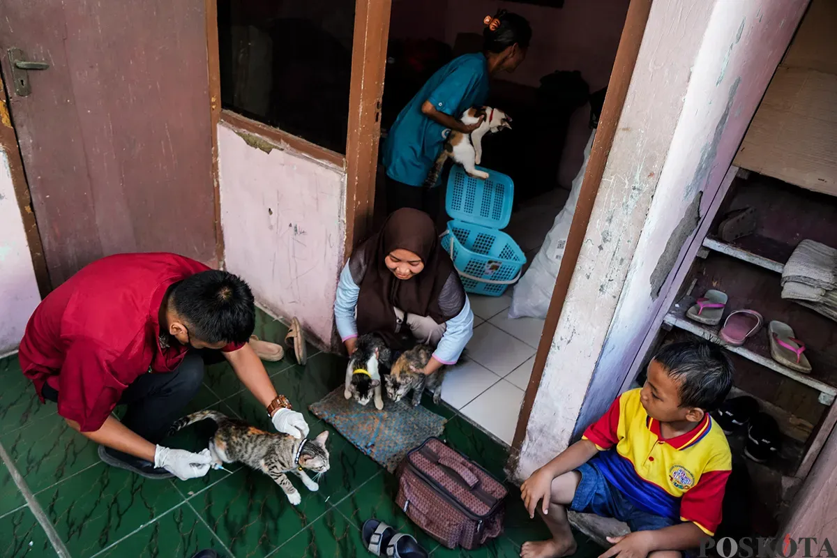 Petugas Suku Dinas Ketahanan Pangan, Kelautan dan Pertanian Jakarta Pusat menyuntik vaksin rabies kepada kucing milik warga di Jalan Gelora IX, Tanah Abang, Jakarta, Kamis, 13 Februari 2025. (Sumber: Poskoata/ Bilal Nugraha Ginanjar)