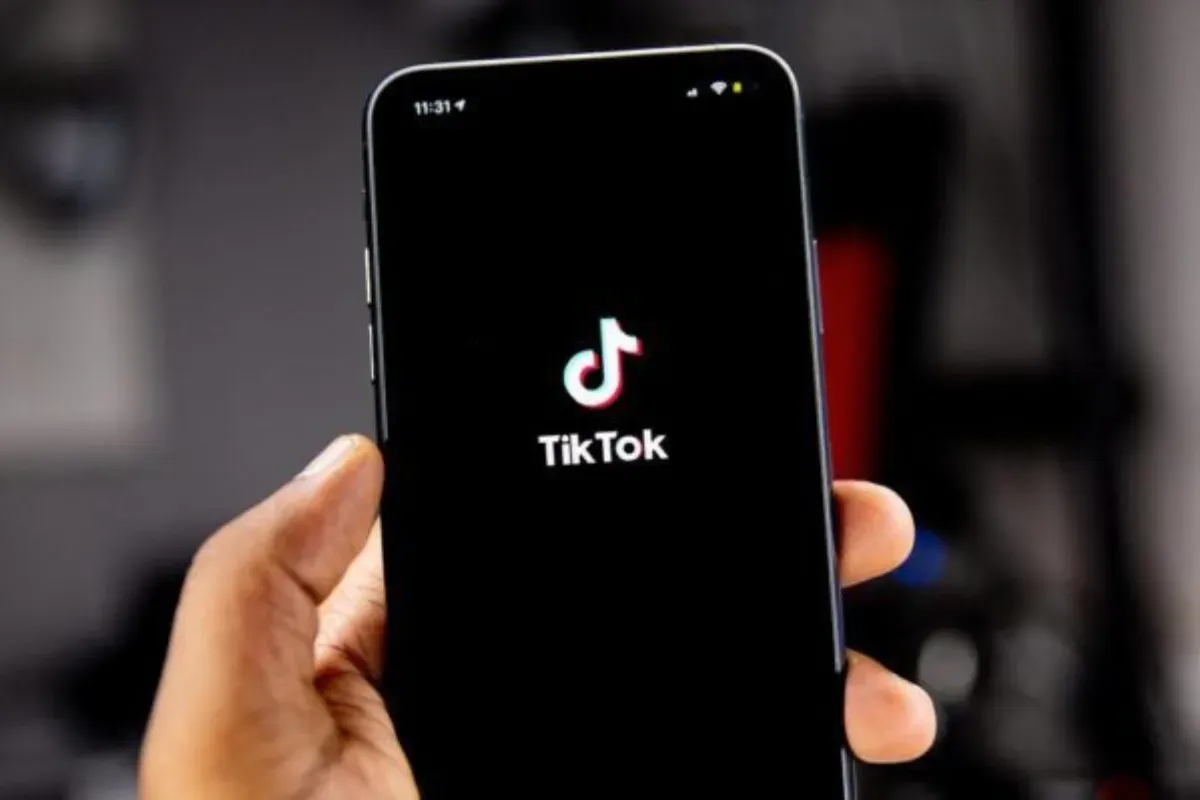 Cara mengedit kembali story TikTok (Sumber: Pinterest)