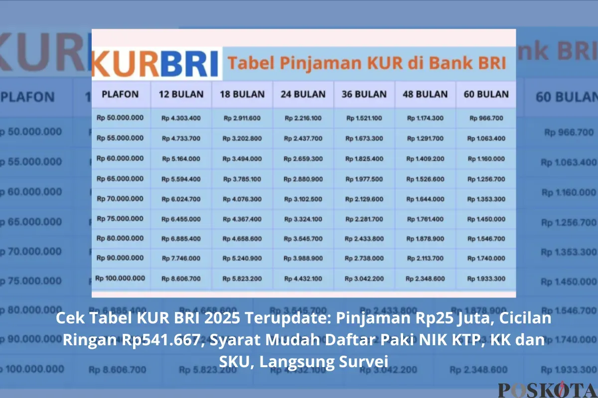 Simulasi tabel angsuran KUR BRI 2025 dengan plafon Rp25 juta dan tenor hingga 5 tahun. (Sumber: Poskota/Yusuf Sidiq)