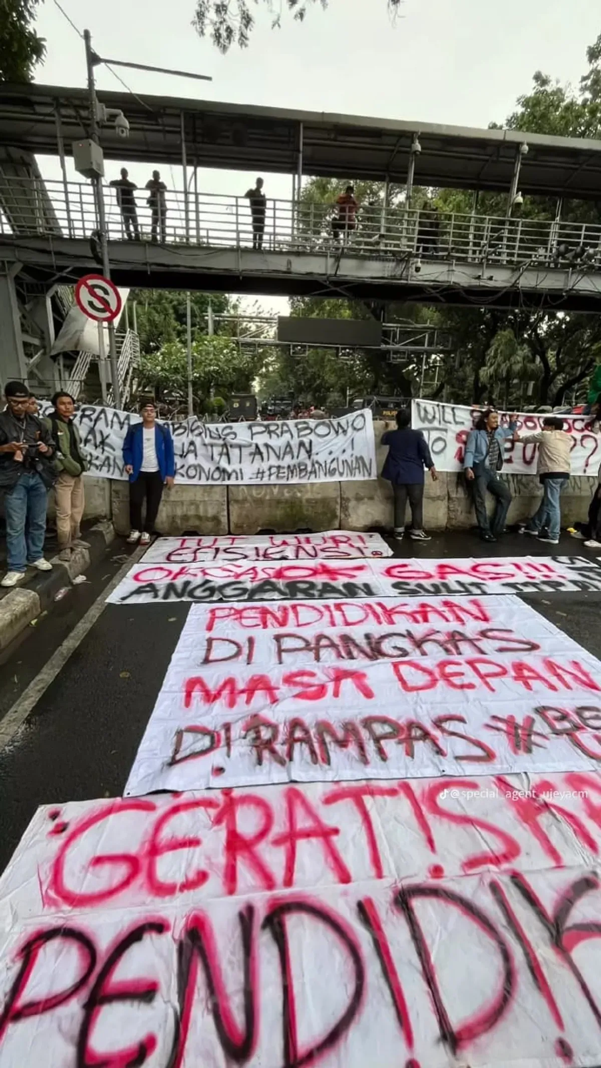  Aksi demo bertajuk Indonesia Gelap. (Sumber: TikTok/@MR.BO***)