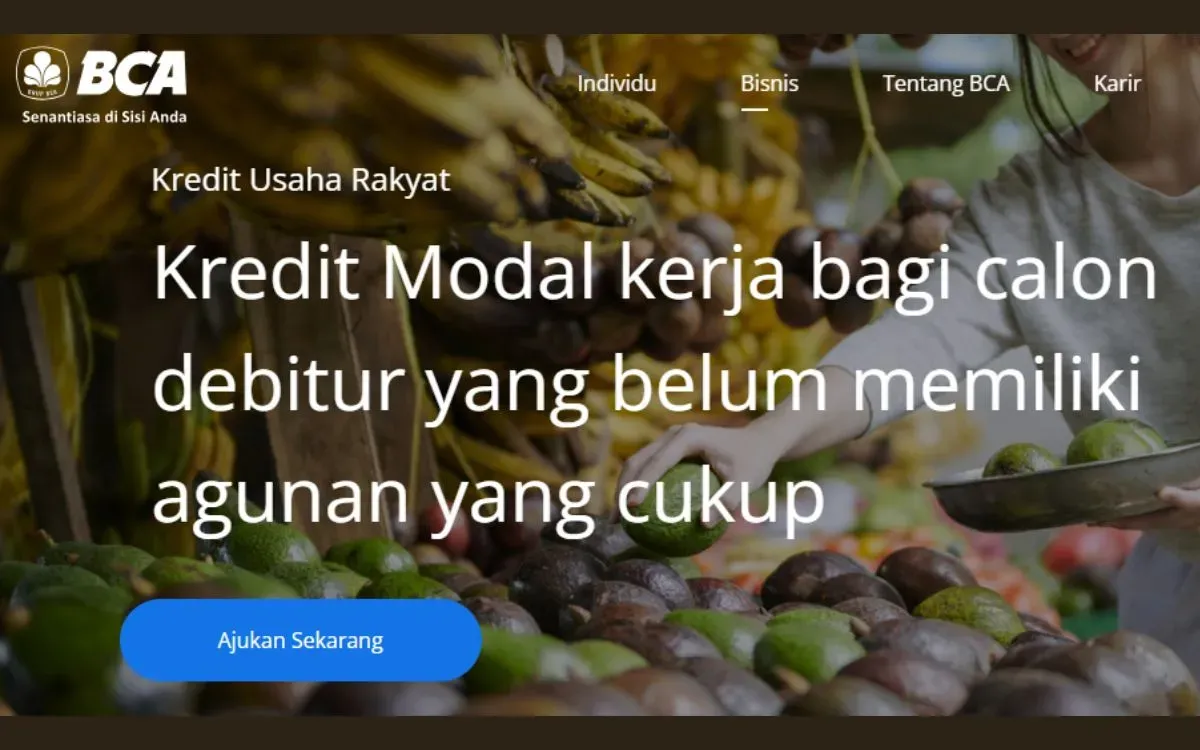 Cek di sini informasi pinjaman KUR BCA 2025 (Sumber: BCA)