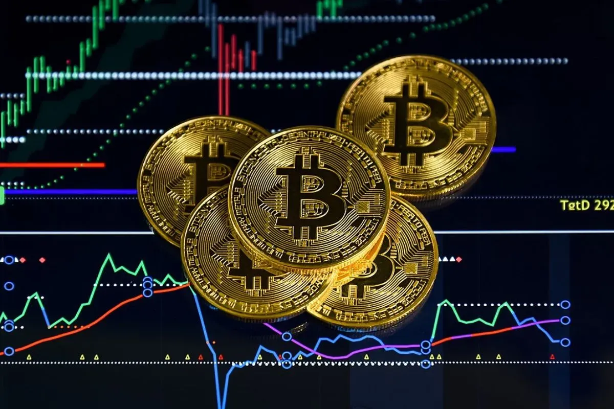 Informasi terkait penyebab harga bitcoin yang anjlok hari ini, 25 Februari 2025. (Sumber: Wikimedia Commons)