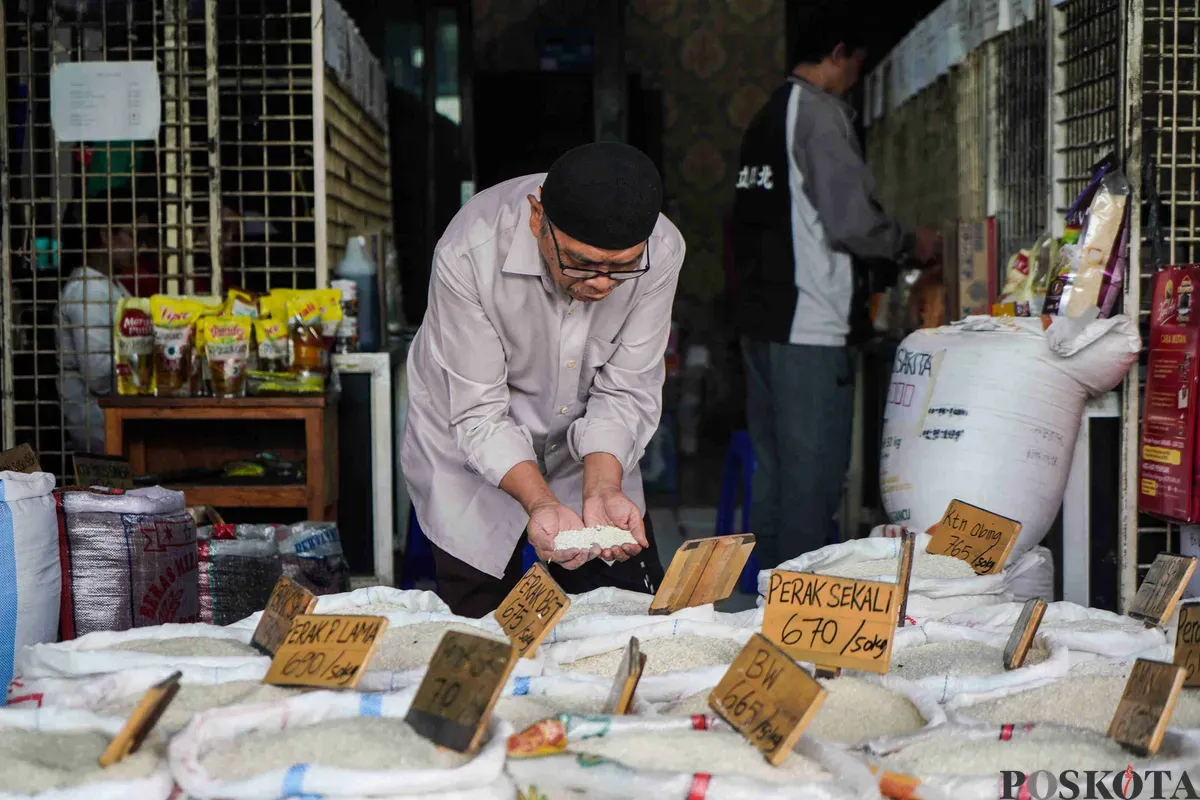 Pembeli mengecek beras yang dijual di Pasar Induk Beras Cipinang, Jakarta Timur, Sabtu, 22 Februari 2025. Menurut data Dinas KPKP DKI Jakarta, stok beras masuk dalam kategori aman. (Sumber: Poskota/Bilal Nugraha Ginanjar)