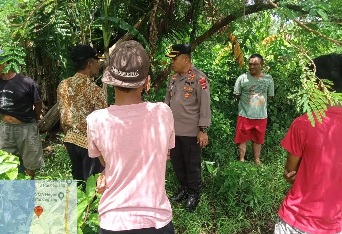 Sejumlah warga bersama pihak Kepolisian Polsek Labuan, Pandeglang, saat hendak mengevakuasi mayat tergantung di pohon petai Cina. (Sumber: Dok. Warga)