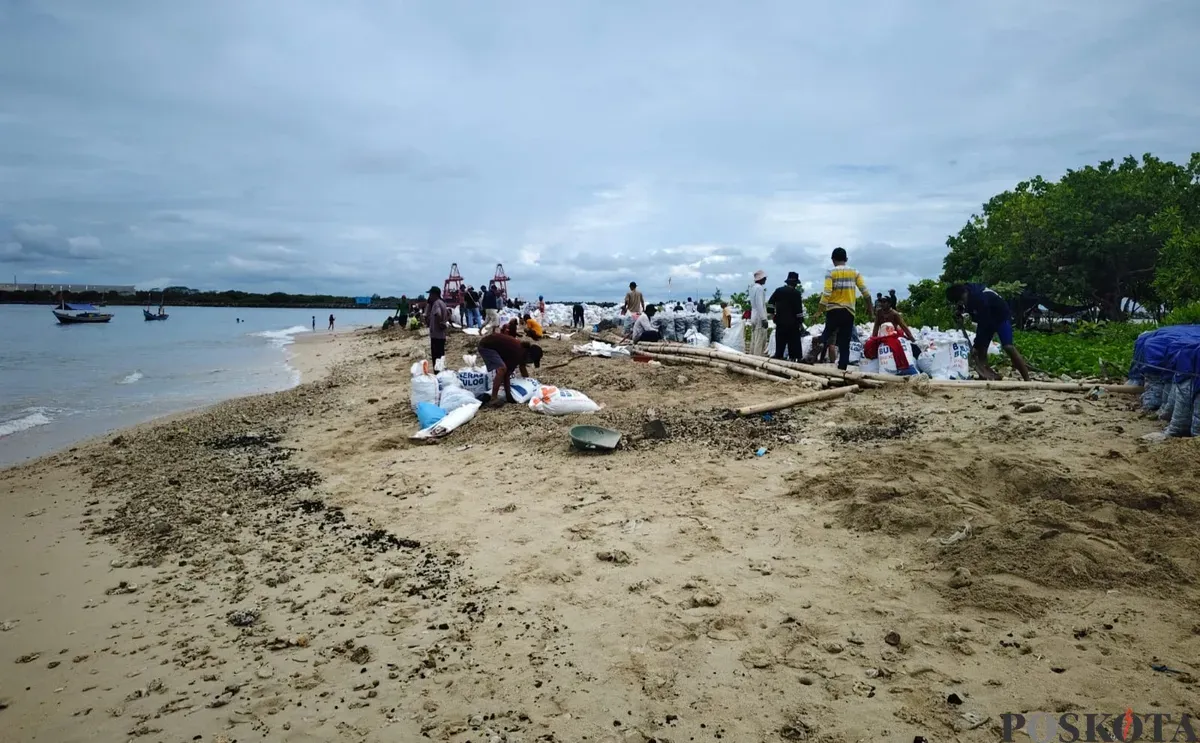 Puluhan warga dari Desa Cigondang, Kecamatan Labuan, Pandeglang, saat tengah membersihkan batu bara di pantai Pulau Popole. (Sumber: Poskota/Samsul Fatoni)