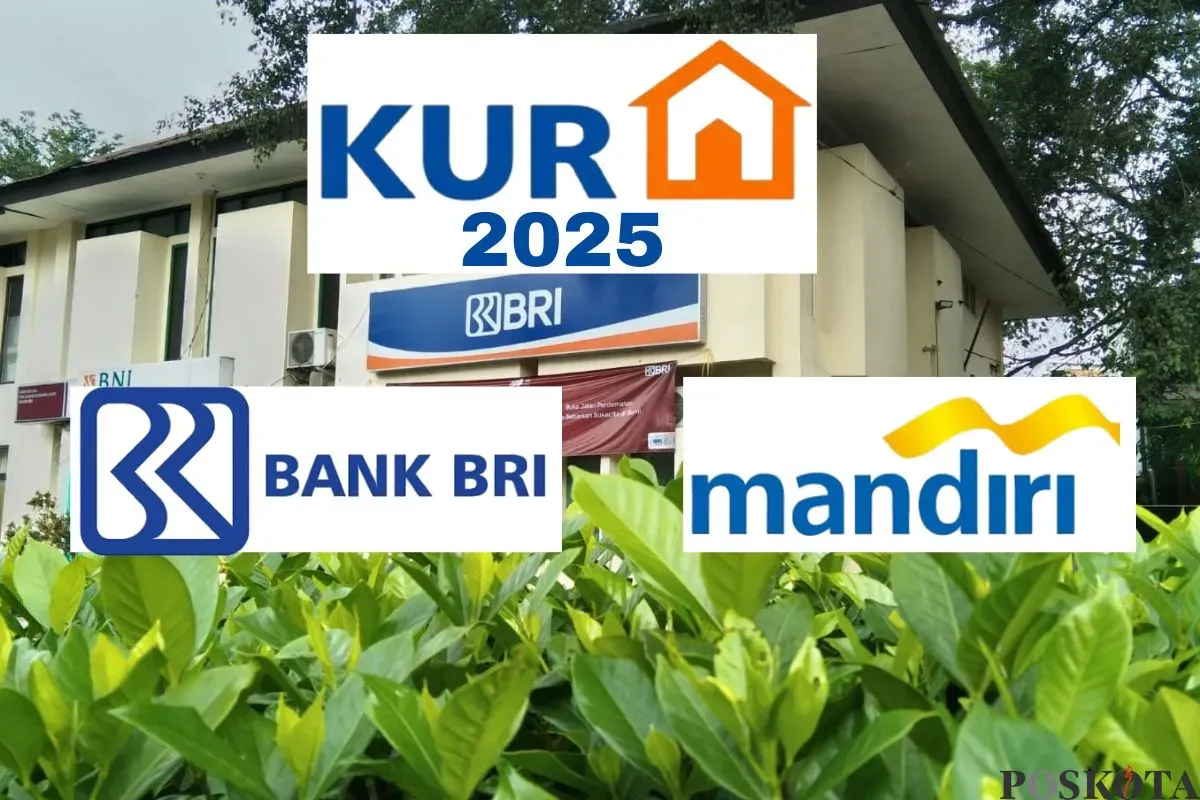 KUR BRI dan Mandiri 2025. (Sumber: Poskota/Mumahad Arip Apandi)