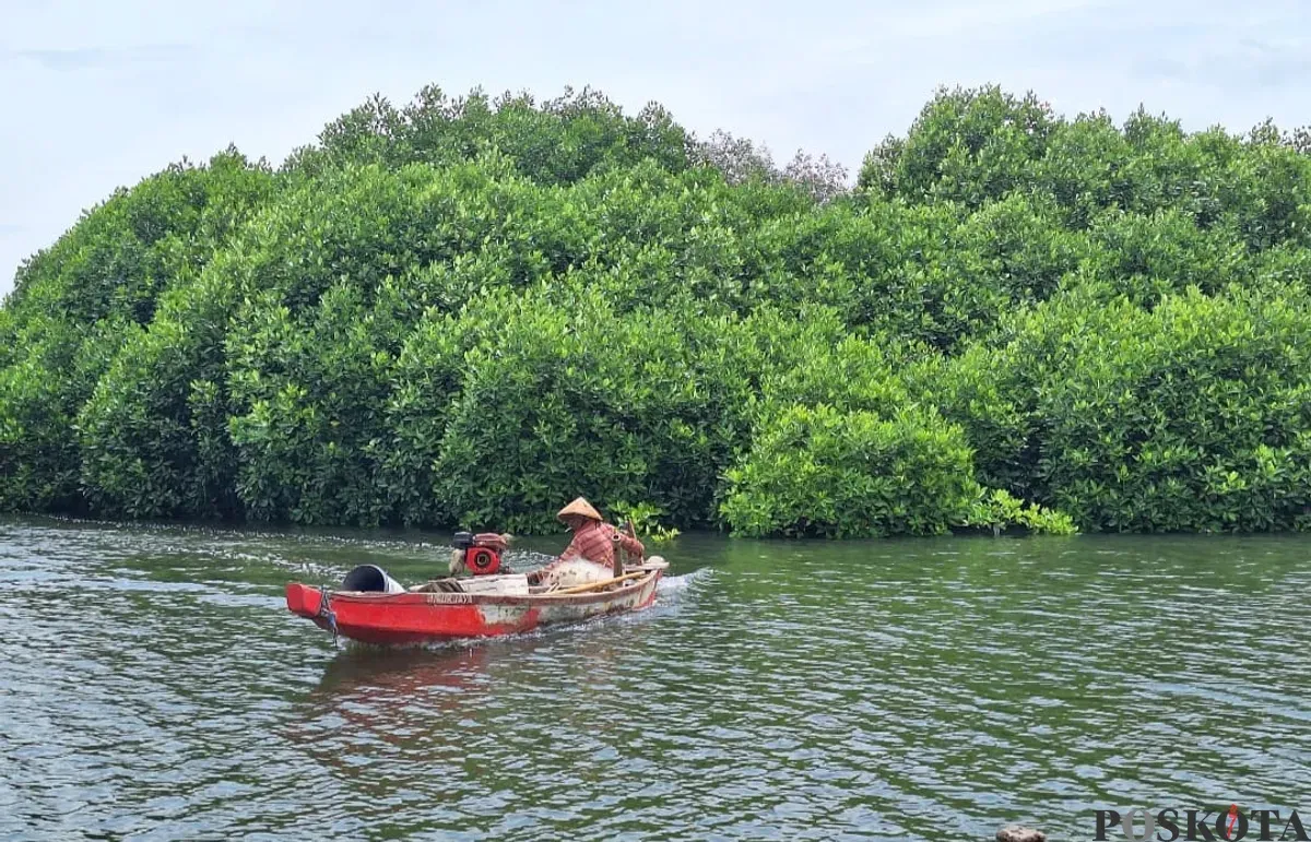 Seorang nelayan melintasi perairan di pesisir laut Kampung Pqljaya, Desa Segarajaya, Kecamatan Tarumajaya, Kabupaten Bekasi, Rabu, 15 Januari 2025. (Sumber: Poskota/Ihsan Fahmi)