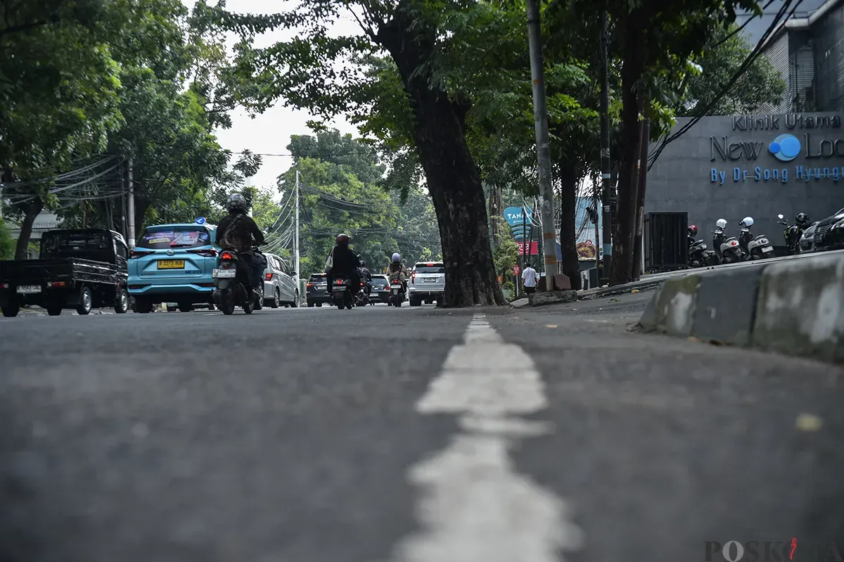 Sejumlah pengendara melintas di depan pohon yang tertanam dan memakan sebagian badan jalan di Jalan Hangtuah, Jakarta Selatan, Jumat, 17 Januari 2025. (Sumber: Poskota/Bilal Nugraha Ginanjar)