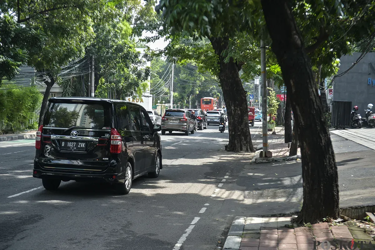 Sejumlah pengendara melintas di depan pohon yang tertanam dan memakan sebagian badan jalan di Jalan Hangtuah, Jakarta Selatan, Jumat, 17 Januari 2025. (Sumber: Poskota/Bilal Nugraha Ginanjar)