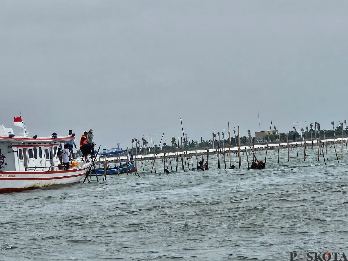 TNI AL dan para nelayan kembali membongkar pagar laut misterius di Tangerang, Rabu, 22 Januari 2025. Ditargetkan pembongkaran sepanjang lima kilometer. (Sumber: Poskota/Veronica Prasetio)