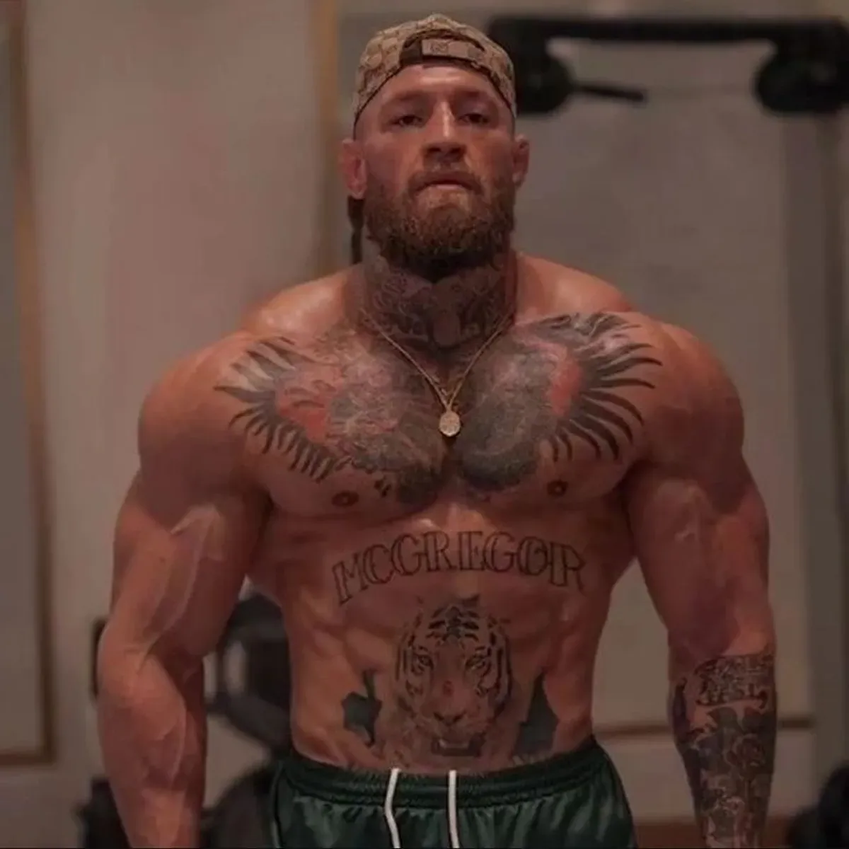 Petarung UFC Conor McGregor (Sumber: IG: @mcgregormania)