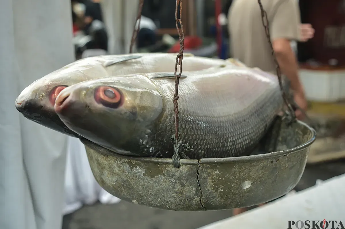 Antusias warga dan pedagang saat memeriahkan Festival Bandeng Rawa Belong di Jalan Sulaiman, Sukabumi Utara, Jakarta Barat, Senin, 27 Januari 2025. (Sumber: Poskota/Bilal Nugraha Ginanjar)